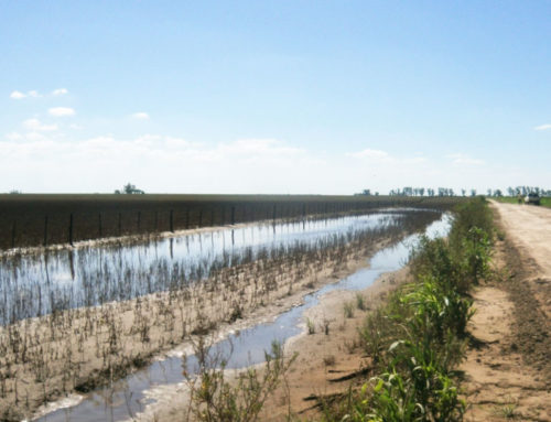 Escurrimientos hídricos en RN 19 y RN 38